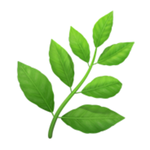 🌿 Emoji Domain iOS rendering